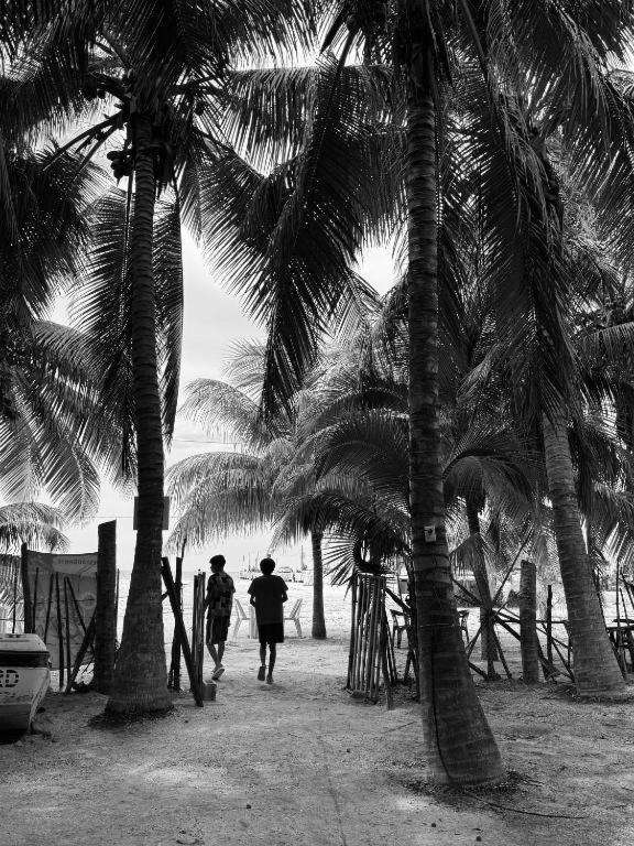 Cabanas Camping Ria Celestun Buitenkant foto