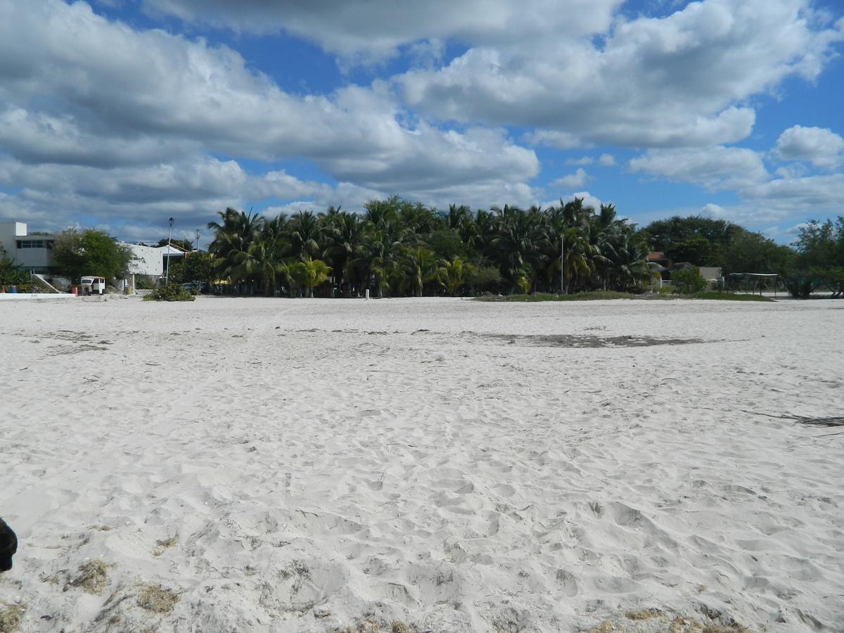 Cabanas Camping Ria Celestun Buitenkant foto